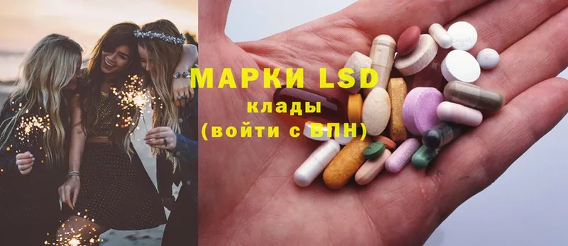 как найти закладки  Вичуга  LSD-25 экстази ecstasy 